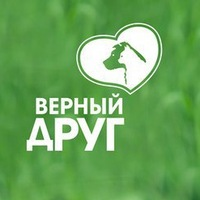 Логотип партнёра